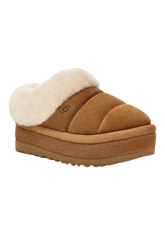 Ugg Tazzlita