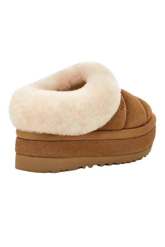 Ugg Tazzlita
