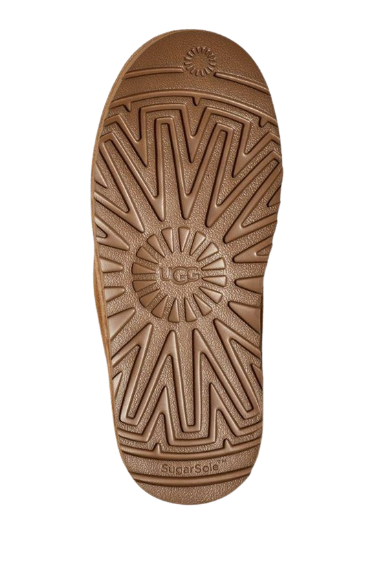 Ugg Tazzlita